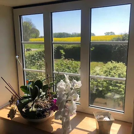 Family House Near With Garden *
