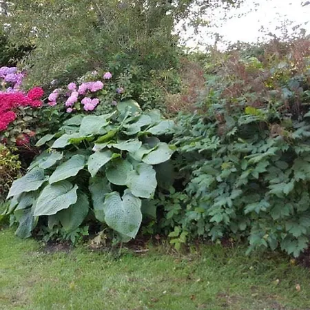 빌라 Family House Near With Garden