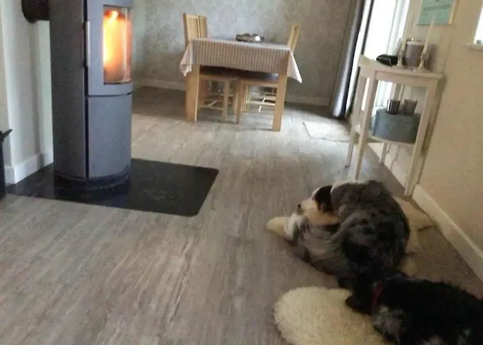 Villa Family House Near With Garden Sarup