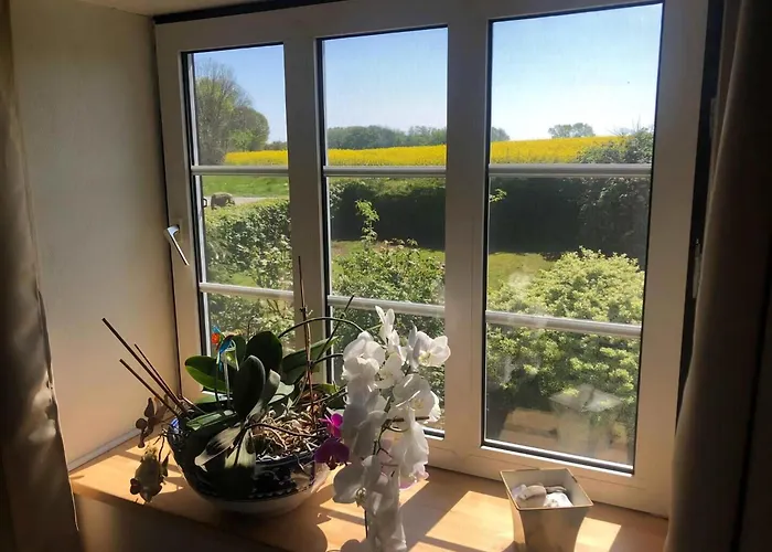 Family House Near With Garden *